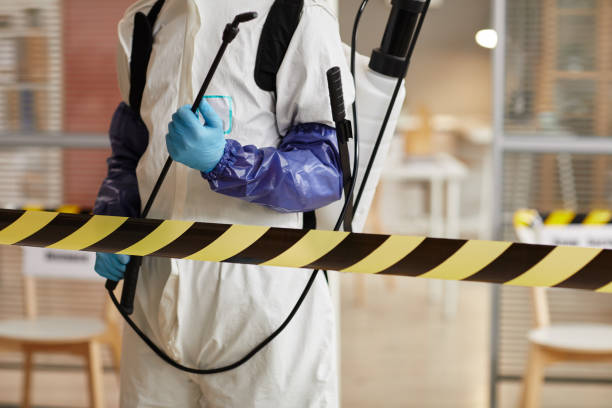 Professional Sewage Cleanup technician working in Brookville, IN